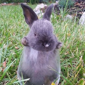 Meet your Posher, Dana